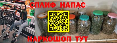 стаф Бийск