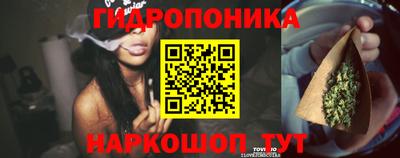 стаф Бийск