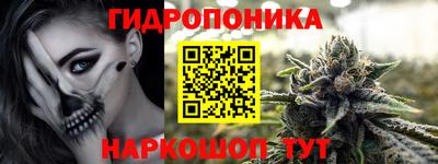 стаф Бийск