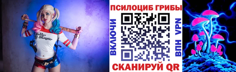площадка Telegram  Богородицк  Псилоцибиновые грибы GOLDEN TEACHER 