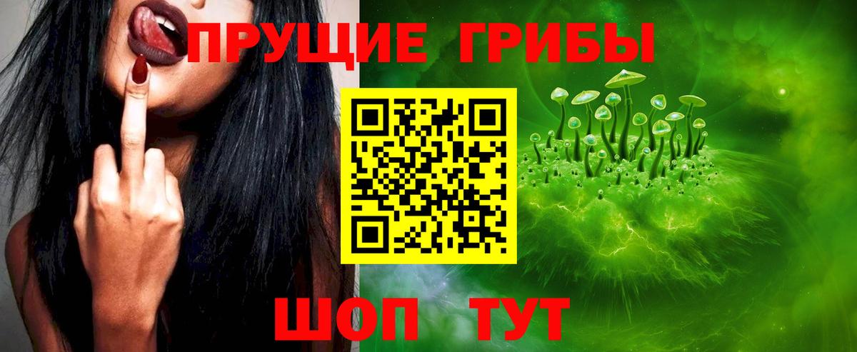 Галлюциногенные грибы Cubensis Богородицк