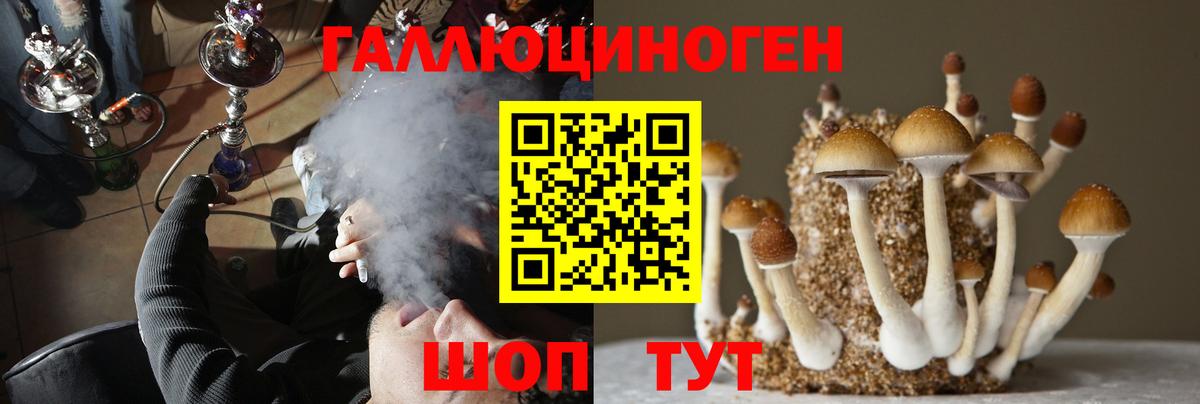 Псилоцибиновые грибы Psilocybe  Псилоцибиновые грибы Magic Shrooms  Богородицк  Вход с VPN 